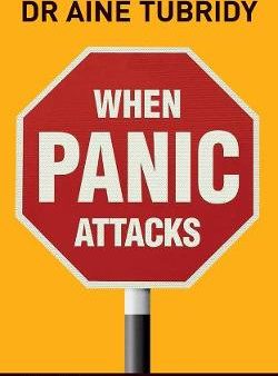 Aine Tubridy: When Panic Attacks [2008] paperback Online Sale