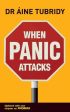 Aine Tubridy: When Panic Attacks [2008] paperback Online Sale