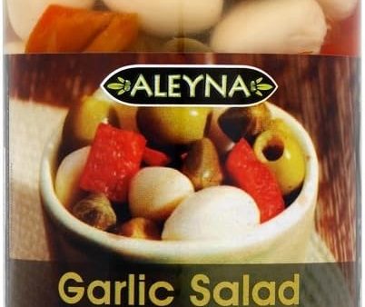 Aleyna Garlic Salad in Vinegar Pack of Pack of 6x480g Online